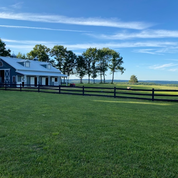 Meet your Posher, Brian - Picture 2 of 2